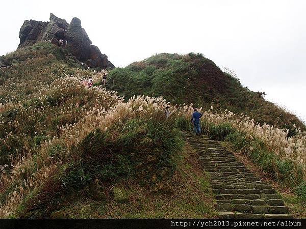 20151122無耳茶壺山(20).JPG