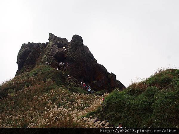 20151122無耳茶壺山(21).JPG