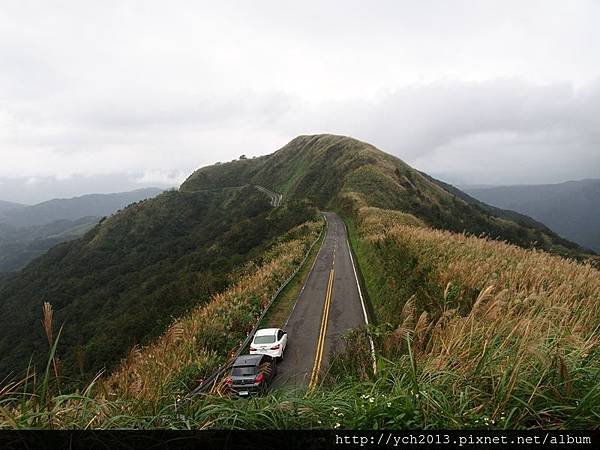 20151122無耳茶壺山後(8).JPG