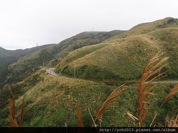 20151122無耳茶壺山後(9).JPG