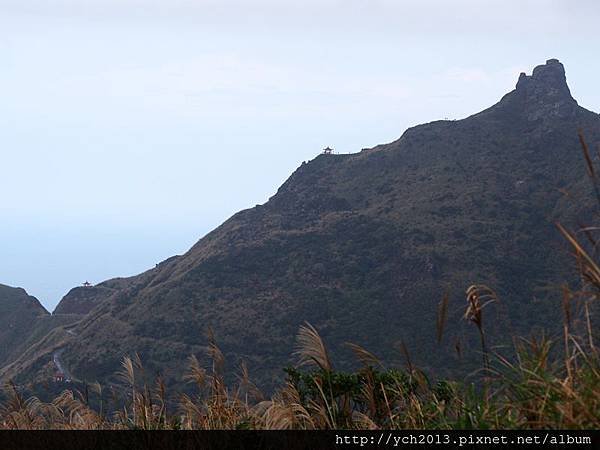 20151122無耳茶壺山後(13).JPG