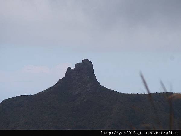 20151122無耳茶壺山後(15).JPG