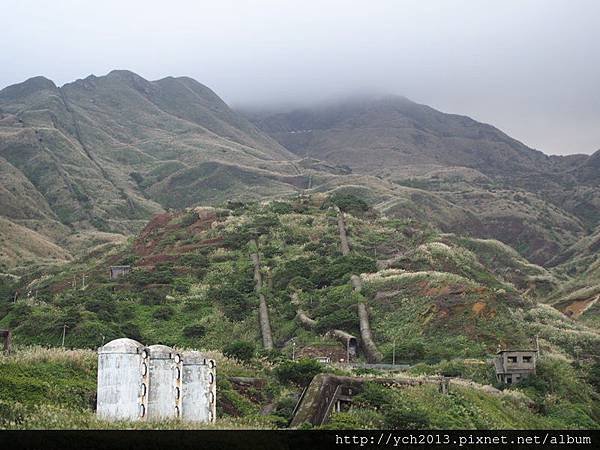 20151122無耳茶壺山後(22).JPG