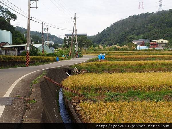 20151212龜山楓樹坑(24).JPG