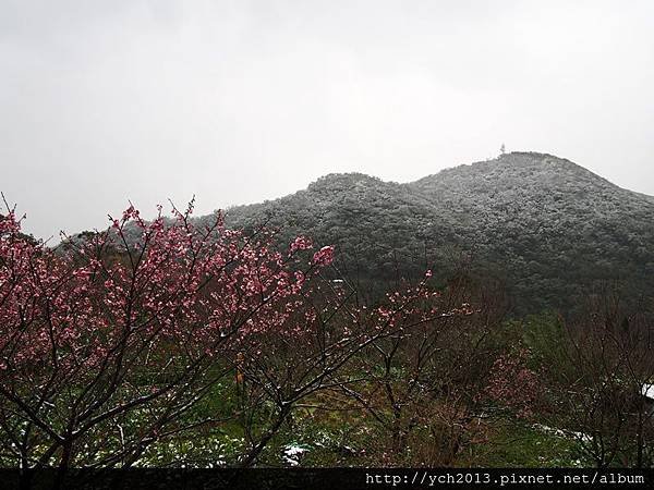 20160124平等里雪景(5).JPG