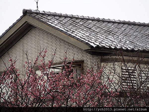 20160124平等里雪景(12).JPG