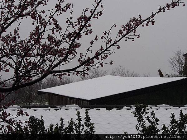 20160124平等里雪景(20).JPG