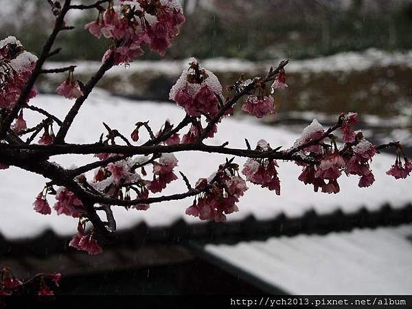 20160124平等里雪景(22).JPG