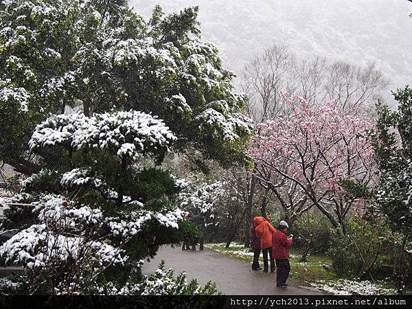 20160124平等里雪景(23).JPG