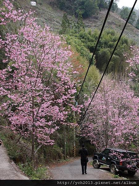 中巴陵櫻木花道(20).JPG