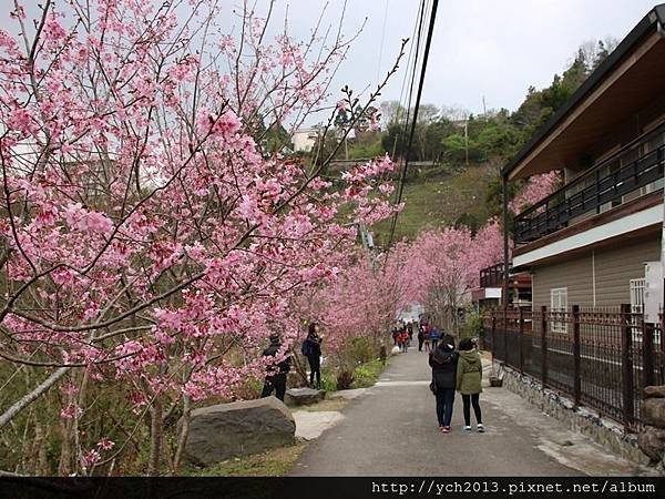 中巴陵櫻木花道(24).JPG