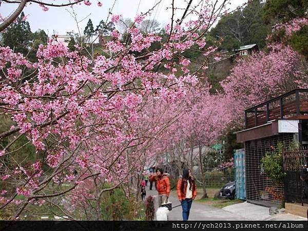 中巴陵櫻木花道(26).JPG