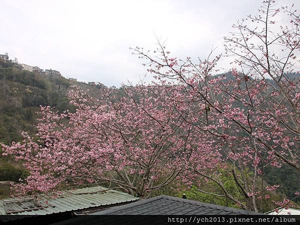 中巴陵櫻木花道(30).JPG