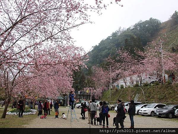 恩愛農場(2).JPG