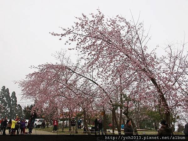 恩愛農場(11).JPG