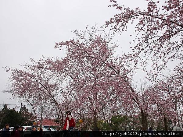 恩愛農場(17).JPG