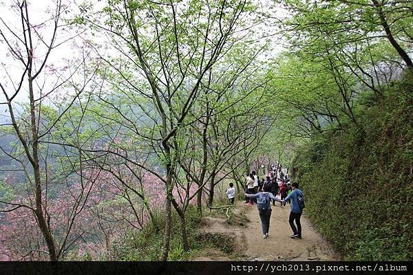 三峽竹崙路(23).JPG