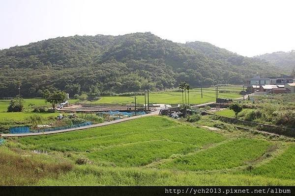 楓樹坑(23).JPG