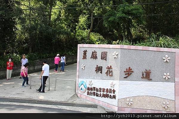 苗栗大湖薑麻園，涼風送爽薑薑好