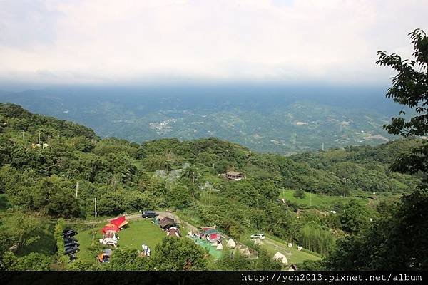 苗栗大湖薑麻園，涼風送爽薑薑好