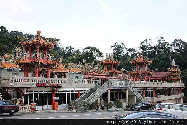 苗栗大湖薑麻園，涼風送爽薑薑好