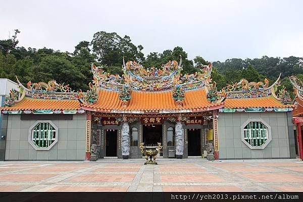 苗栗大湖薑麻園，涼風送爽薑薑好