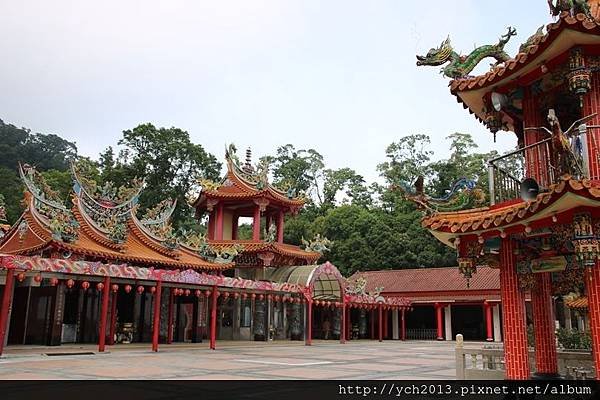 苗栗大湖薑麻園，涼風送爽薑薑好