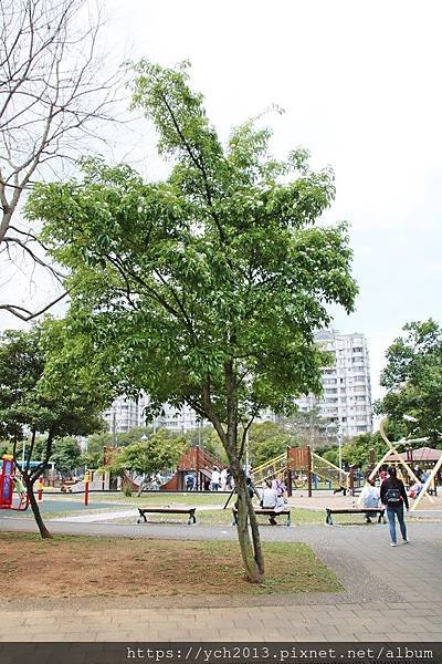 (2)林口運動公園.JPG