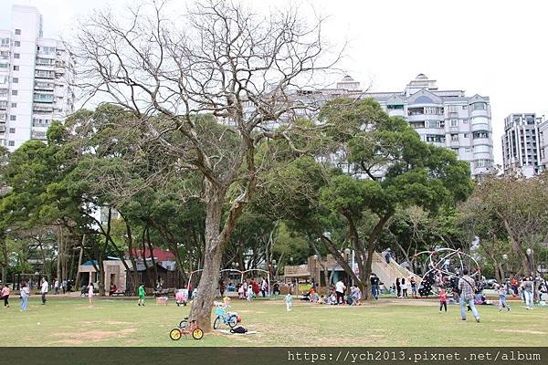 (32)林口運動公園.JPG