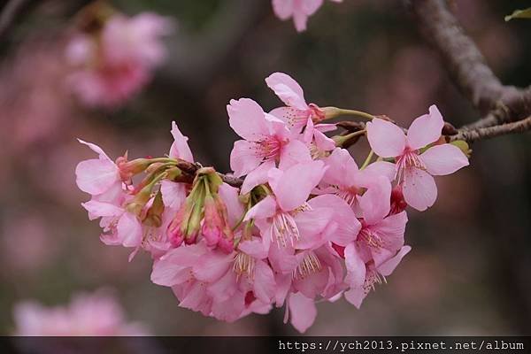 (101)觀音寺.JPG