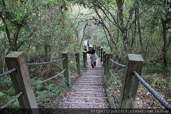 南安瀑布瓦拉米步道(20).JPG