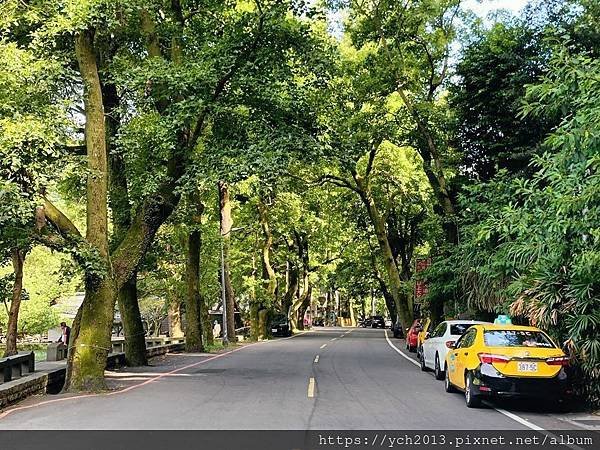 陽明山步道／炎夏紗帽山輕鬆走／巧遇糞金龜下樓梯