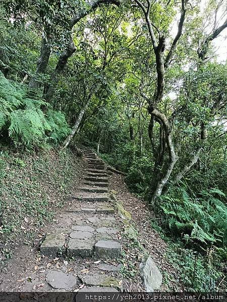 陽明山步道／炎夏紗帽山輕鬆走／巧遇糞金龜下樓梯