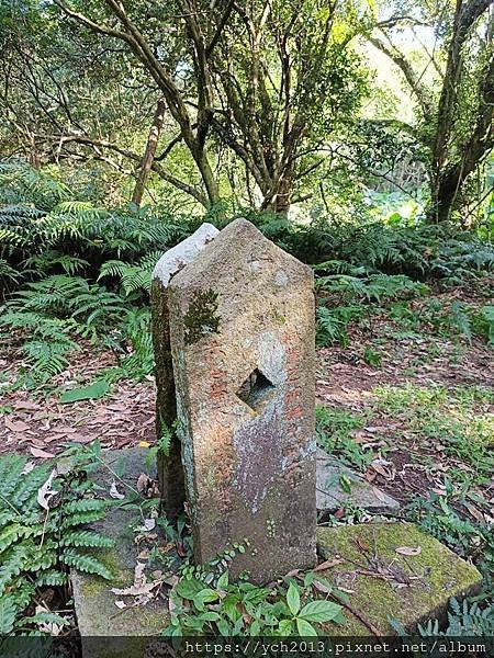 陽明山步道／炎夏紗帽山輕鬆走／巧遇糞金龜下樓梯