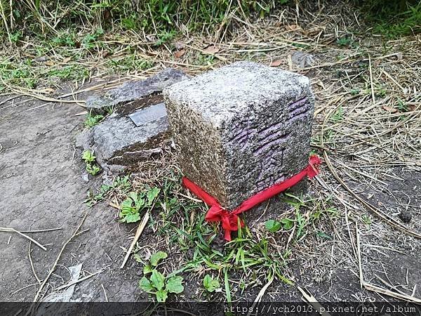 陽明山步道／炎夏紗帽山輕鬆走／巧遇糞金龜下樓梯