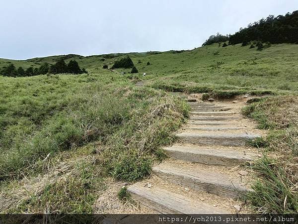 南投景點／樓梯無窮盡、陡上陡下合歡東峰