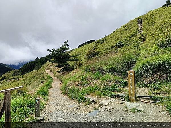 南投景點／樓梯無窮盡、陡上陡下合歡東峰