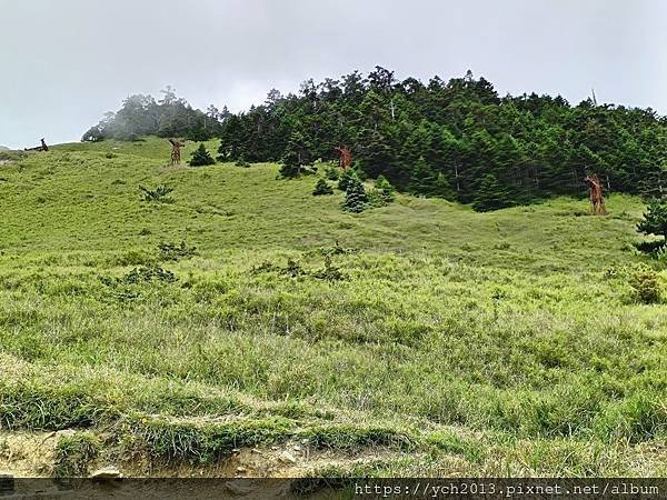 南投景點／樓梯無窮盡、陡上陡下合歡東峰