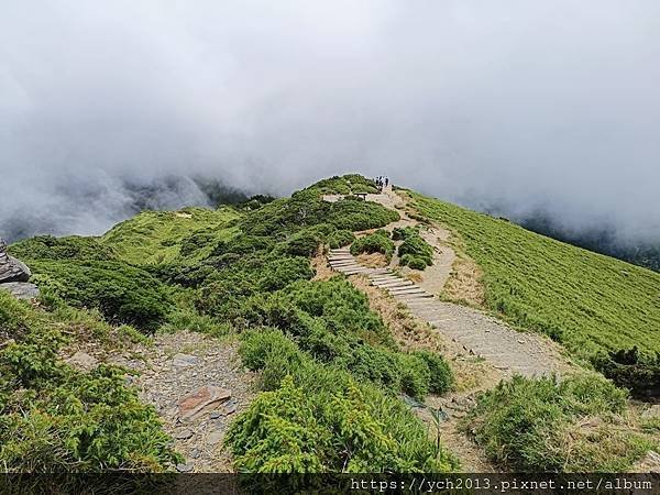 南投景點／樓梯無窮盡、陡上陡下合歡東峰