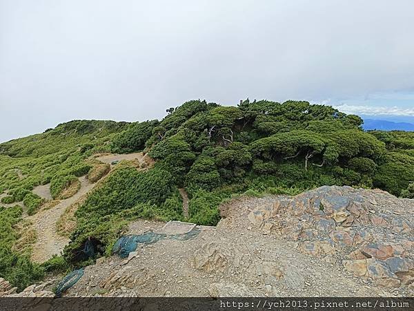 南投景點／樓梯無窮盡、陡上陡下合歡東峰