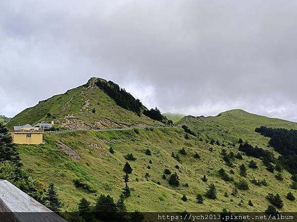 南投景點／樓梯無窮盡、陡上陡下合歡東峰