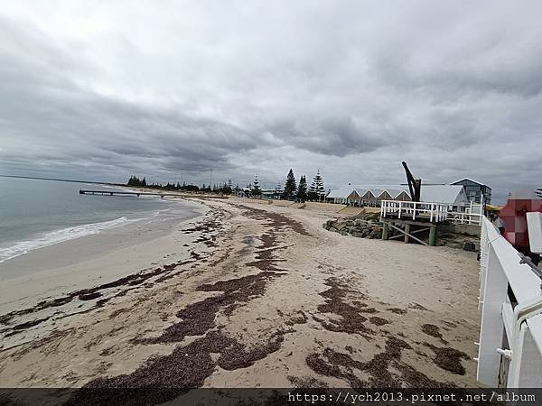 巴瑟爾頓長堤Busselton Jetty搭小火車出海