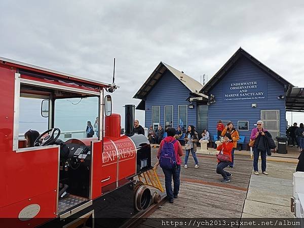 巴瑟爾頓長堤Busselton Jetty搭小火車出海