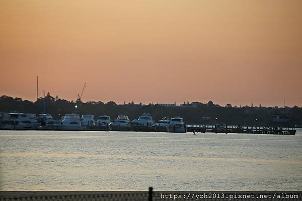 西澳伯斯國王公園賞夜景