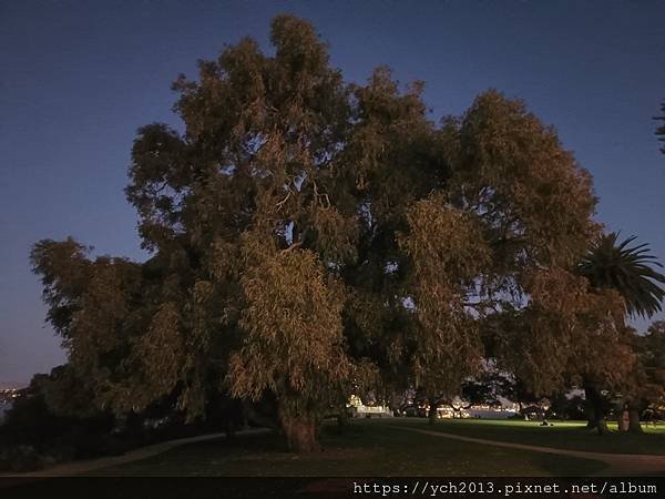 西澳伯斯國王公園賞夜景