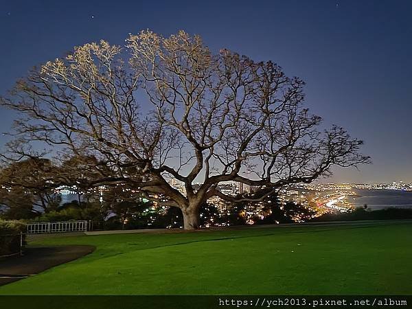 西澳伯斯國王公園賞夜景