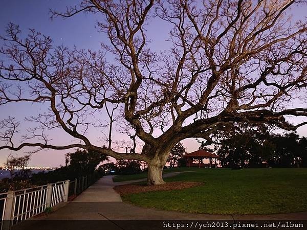 西澳伯斯國王公園賞夜景