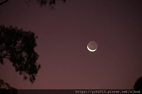 西澳伯斯國王公園賞夜景