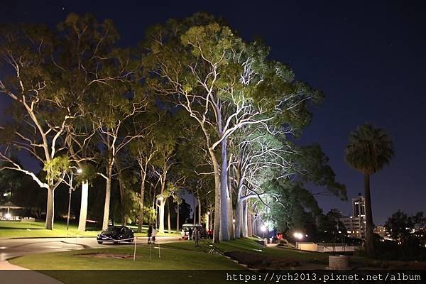 西澳伯斯國王公園賞夜景