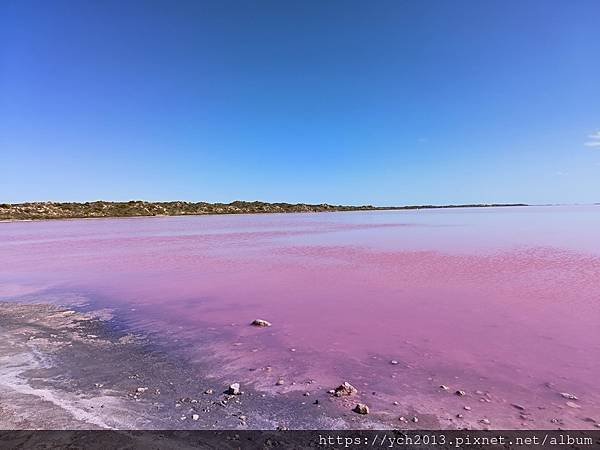 西澳Port Gregory 絕美粉紅湖Hutt Lagoo